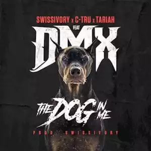 Instrumental: Swissivory X DMX - Dog In Me (Prod. By Swissivory)